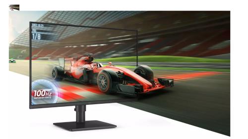 SAMSUNG 24" LS24D400GAUXUF 1920x1080 5MS 100Hz IPS DP/2xHDMI +VESA +PIVOT - Monitorler ürünleri tekmarshop.com'da